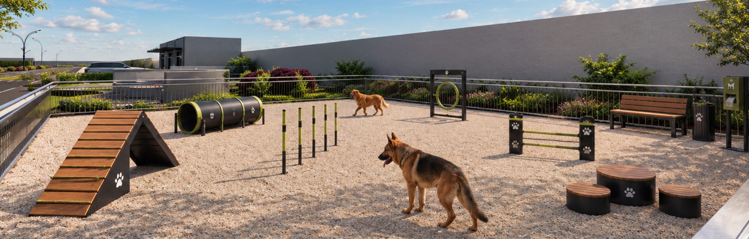DOG PARK